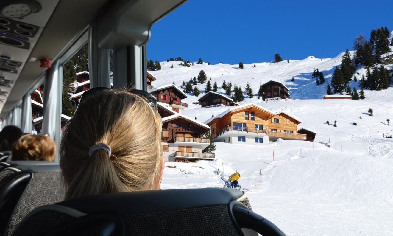 Skireizen